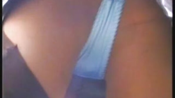 Ashlynn 브룩 파운드 고양이 에 두꺼운 단단한 수탉